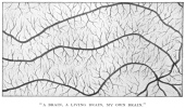 A BRAIN, A LIVING BRAIN, MV OWN BRAIN.