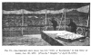 FIG. 72.SEA-SERPENT SEEN FROM THE S.S. CITY OF BALTIMORE, IN THE GULF OF ADEN, JAN. 28, 1879. (<i>From the</i> <i>Graphic</i> <i>of April</i> 19, 1879.)